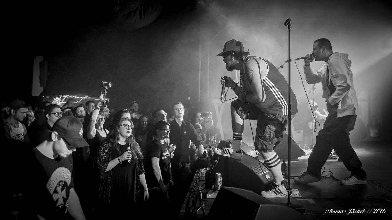 mengen_blackeyed_11sw