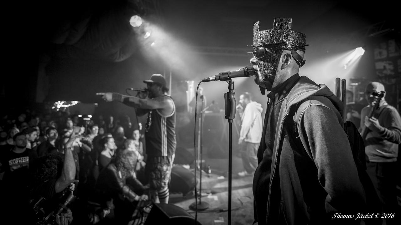 mengen_blackeyed_22sw